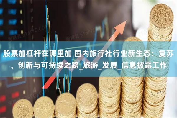 股票加杠杆在哪里加 国内旅行社行业新生态：复苏、创新与可持续之路_旅游_发展_信息披露工作