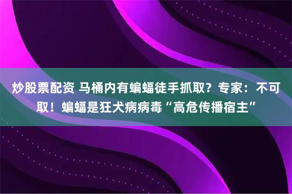 炒股票配资 马桶内有蝙蝠徒手抓取？专家：不可取！蝙蝠是狂犬病病毒“高危传播宿主”