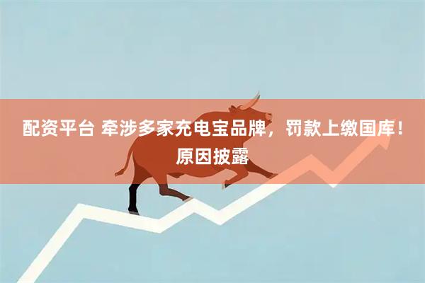 配资平台 牵涉多家充电宝品牌，罚款上缴国库！原因披露